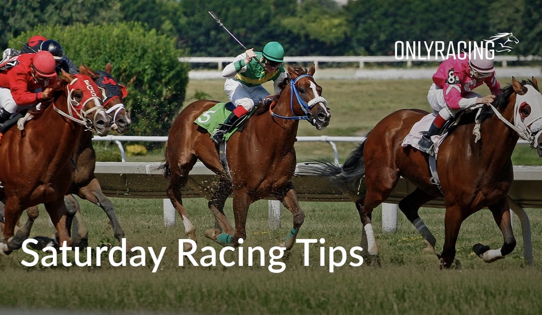 RacingOnly - Saturday Horse Racing Tips