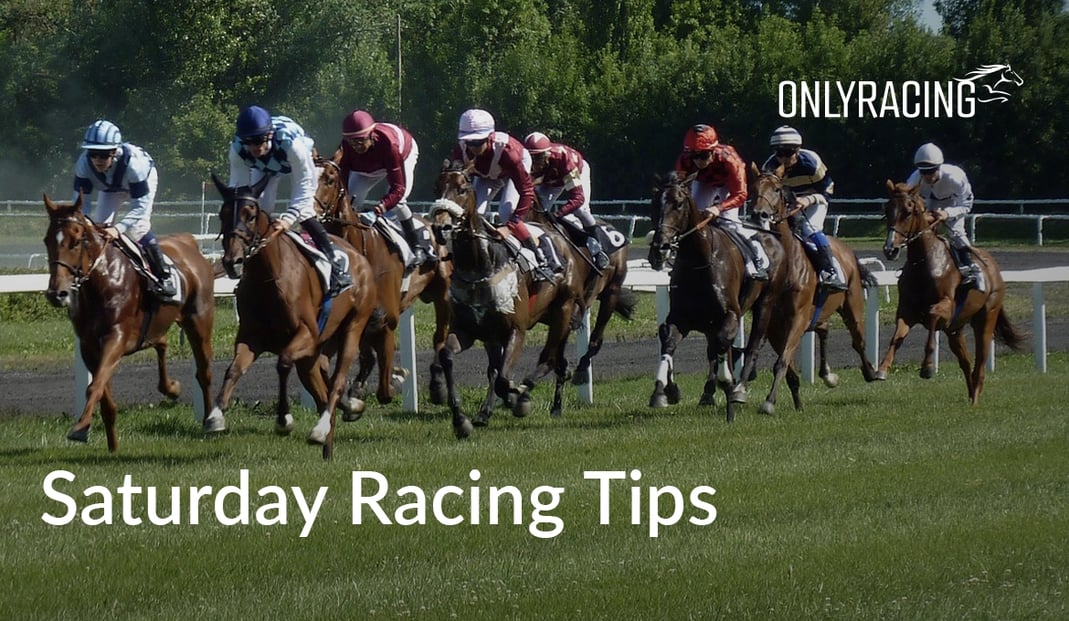 RacingOnly - Saturday Horse Racing Tips