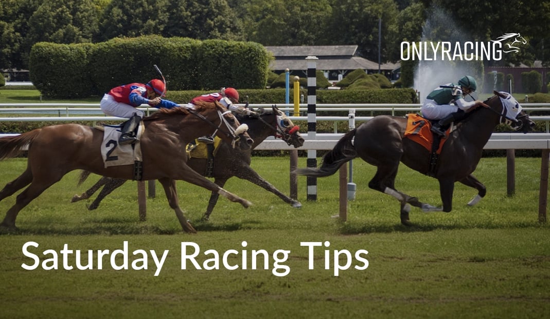 RacingOnly - Saturday Horse Racing Tips