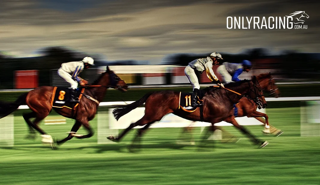 Multibet Tip of the Day