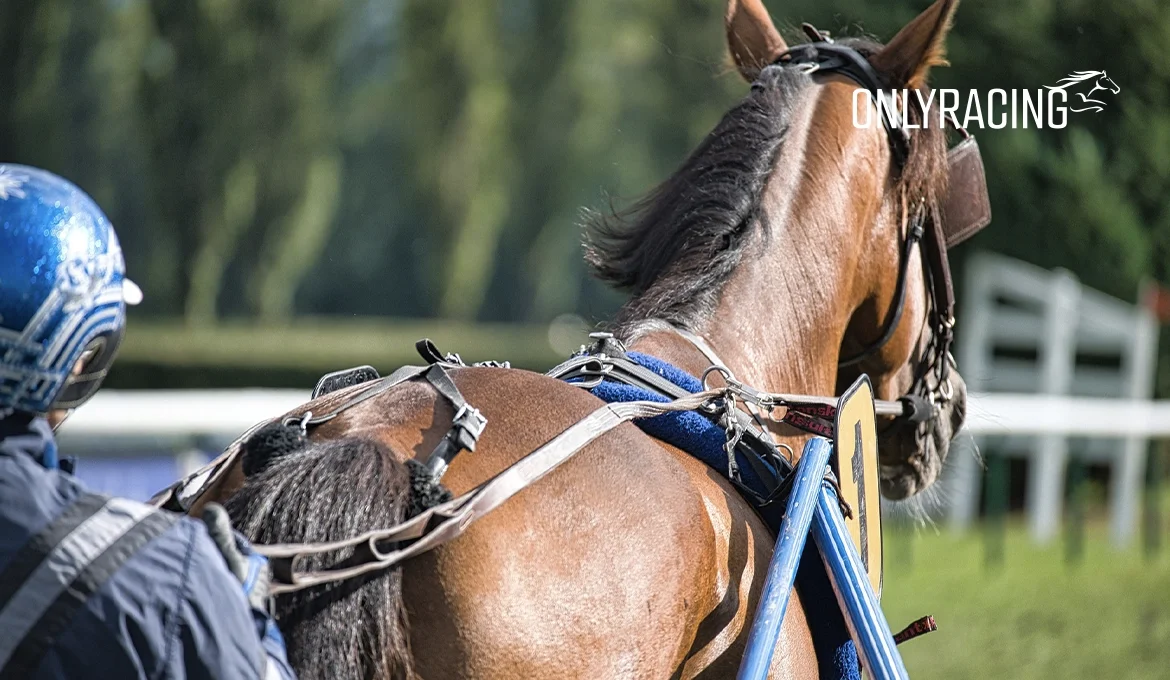 RacingOnly - News