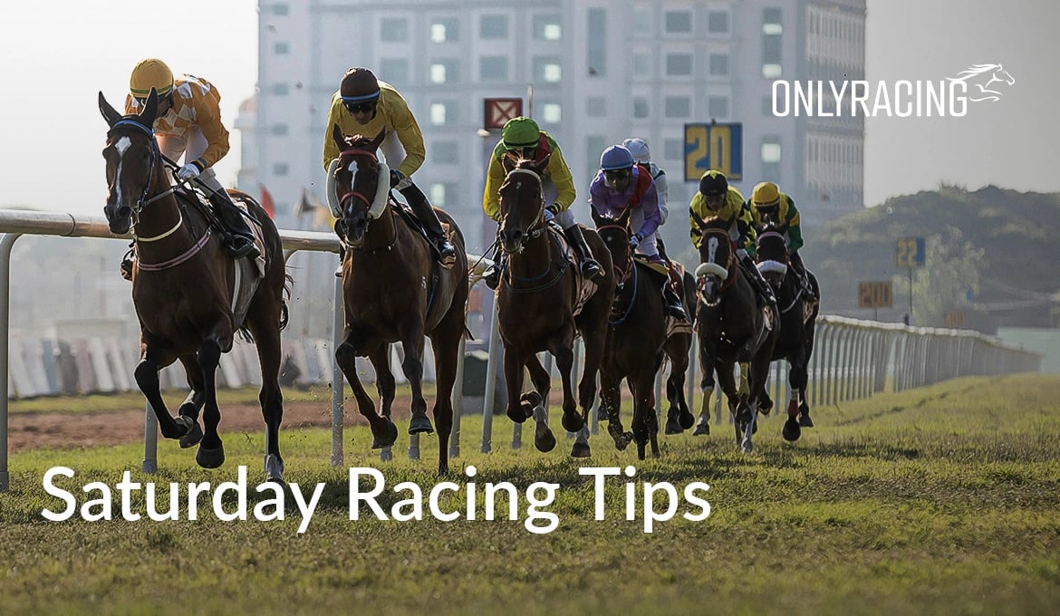 RacingOnly - Saturday Horse Racing Tips