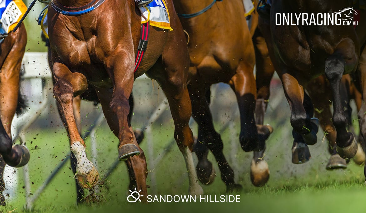 Sandown Hillside