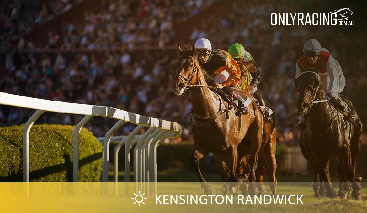 Kensington Racecourse 17/01/24