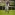 Rosehill Racecourse 01/06/24