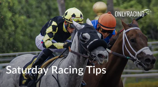 RacingOnly - Saturday Horse Racing Tips RacingOnly - Saturday Horse Racing Tips