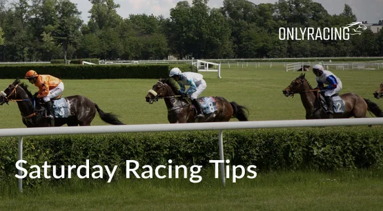 RacingOnly - Saturday Horse Racing Tips RacingOnly - Saturday Horse Racing Tips