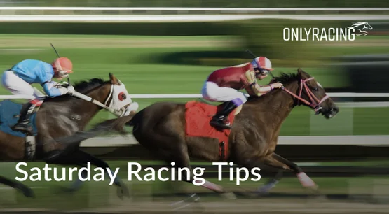 RacingOnly - Saturday Horse Racing Tips