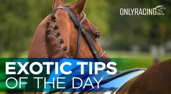 Exotic Tips of the Day Exotic Tips of the Day
