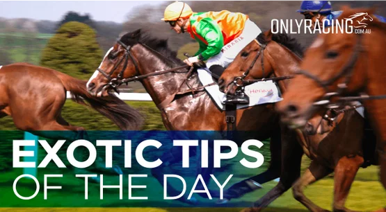 Exotic Tips of the Day Exotic Tips of the Day
